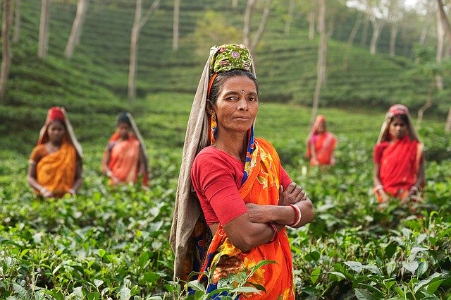 feminismo cultural
